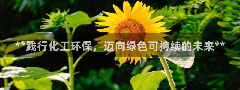 亿万先生 手机版下载最新版：**践行化工环保，迈向绿色可持续的未来**