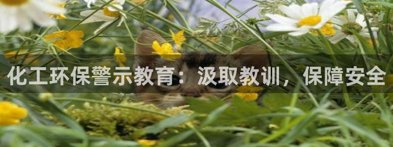 亿万国际合法吗：化工环保警示教育：汲取教训，保障安全
