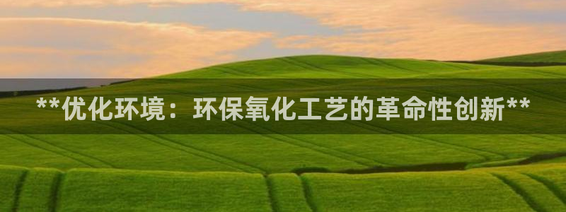 亿万先生情侣车有什么用：**优化环境：环保氧化工艺的革命性创新**