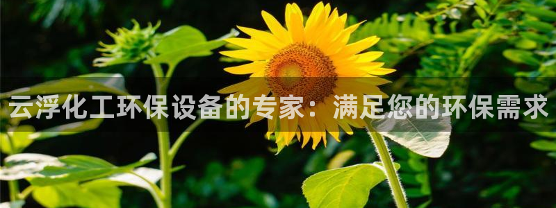 亿万网络科技有限公司ceo：云浮化工环保设备的专家：满足您的环保需求