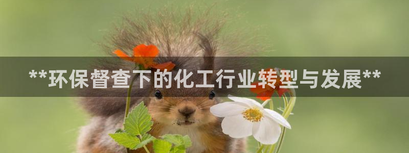 亿万先生m007：**环保督查下的化工行业转型与发展**