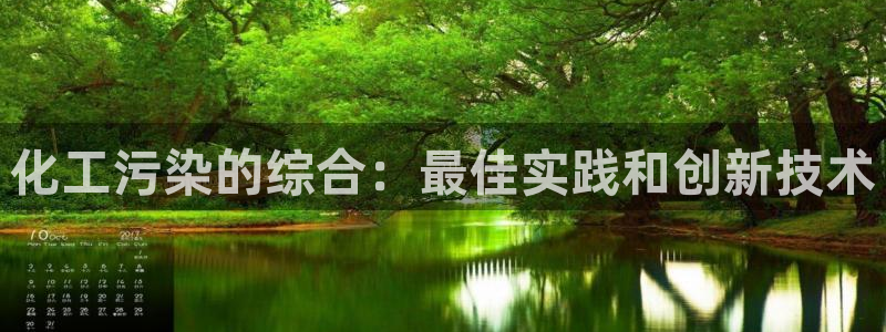 亿万billions：化工污染的综合：最佳实践和创新技术