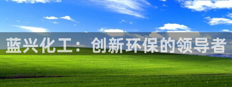 亿万问答：蓝兴化工：创新环保的领导者