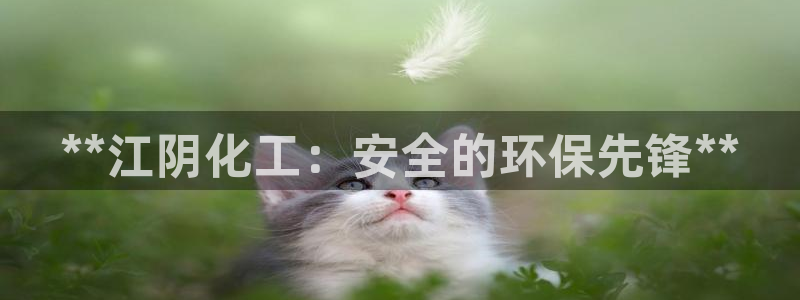 亿万先生现在的网址谁知道是真的：**江阴化工：安全的环保先锋**