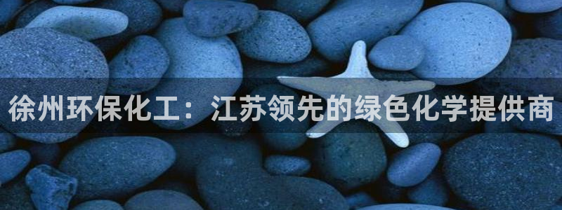 亿万先生游戏：徐州环保化工：江苏领先的绿色化学提供商