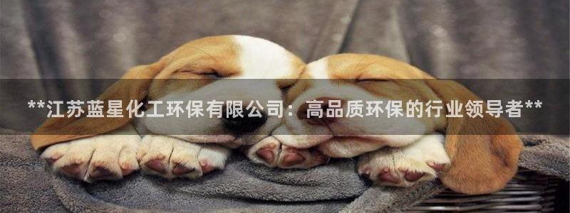 亿万先生手机网页：**江苏蓝星化工环保有限公司：高品质环保的行业领导者**