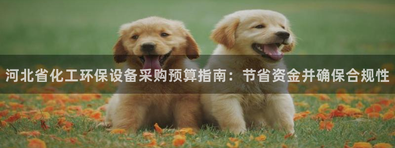 亿万先生客户端官网首页：河北省化工环保设备采购预算指南：节省资金并确保合规性