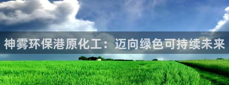 mr003亿万先生：神雾环保港原化工：迈向绿色可持续未来