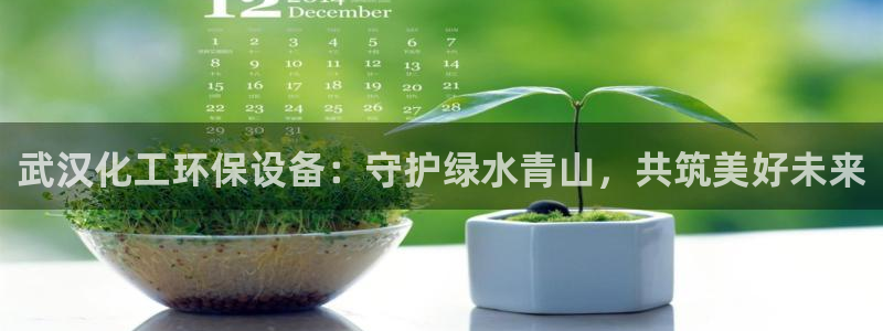 亿万先生合并网址是什么：武汉化工环保设备：守护绿水青山，共筑美好未来