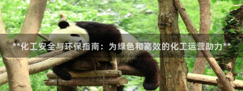 亿万同人字幕组微博的微博：**化工安全与环保指南：为绿色和高效的化工运营助力**