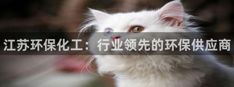 亿万先生官方登录网址：江苏环保化工：行业领先的环保供应商