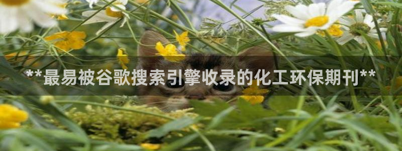 亿万先生换网址了吗：**最易被谷歌搜索引擎收录的化工环保期刊**
