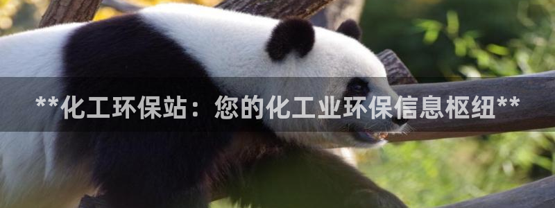 亿万堂官网：**化工环保站：您的化工业环保信息枢纽**