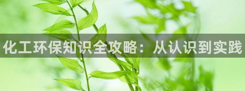 亿万先生客服：化工环保知识全攻略：从认识到实践