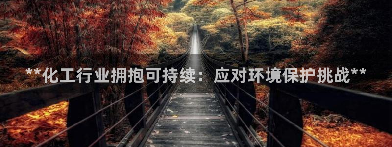 亿万先生网页版：**化工行业拥抱可持续：应对环境保护挑战**