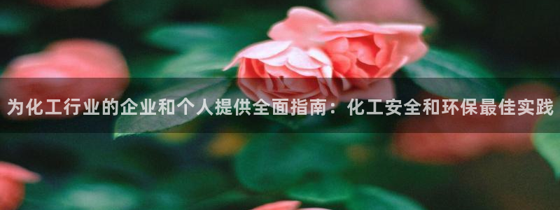 mr8001亿万先生：为化工行业的企业和个人提供全面指南：化工安全和环保最佳实践
