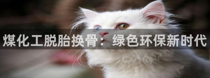 电视剧亿万：煤化工脱胎换骨：绿色环保新时代