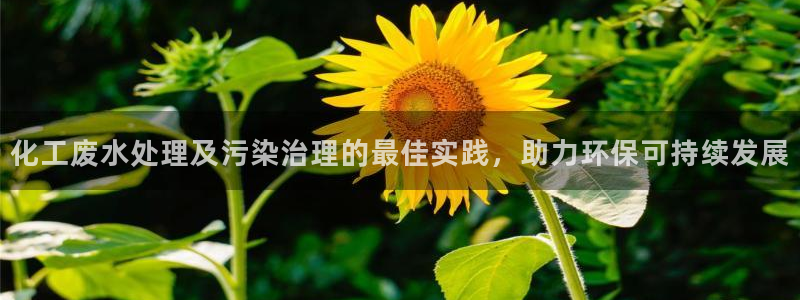 亿万先生合并网址在哪：化工废水处理及污染治理的最佳实践，助力环保可持续发展