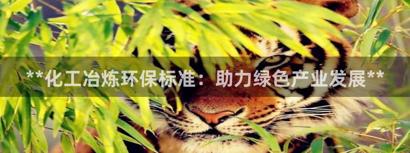 亿万网红：**化工冶炼环保标准：助力绿色产业发展**