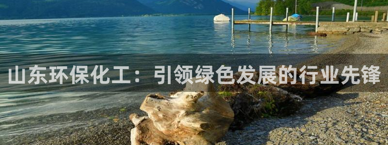 亿万手游官网：山东环保化工：引领绿色发展的行业先锋