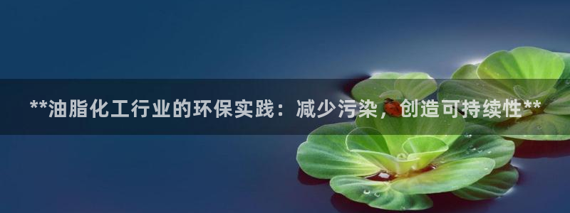 亿万首富手游：**油脂化工行业的环保实践：减少污染，创造可持续性**