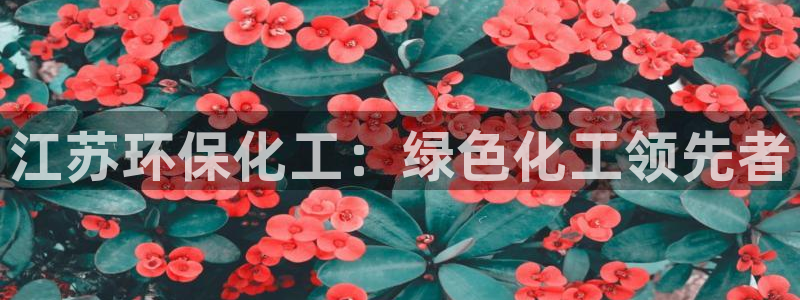 亿万先生mr008：江苏环保化工：绿色化工领先者