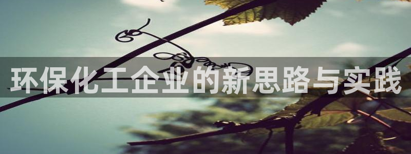 亿万app：环保化工企业的新思路与实践