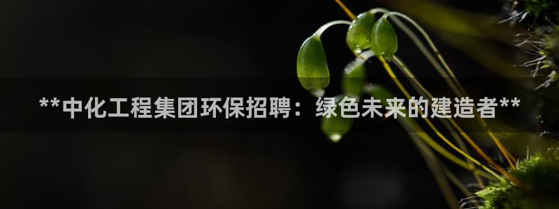 亿万集团有限公司：**中化工程集团环保招聘：绿色未来的建造者**