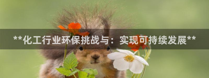 亿万国际游戏官网：**化工行业环保挑战与：实现可持续发展**