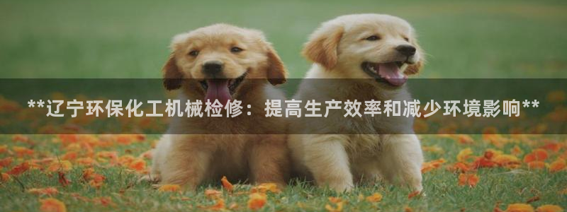 亿万先生客服联系方式：**辽宁环保化工机械检修：提高生产效率和减少环境影响**