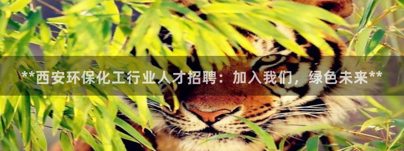 亿万先生m007：**西安环保化工行业人才招聘：加入我们，绿色未来**