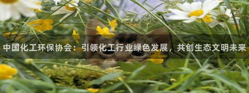 亿万剧情介绍：中国化工环保协会：引领化工行业绿色发展，共创生态文明未来