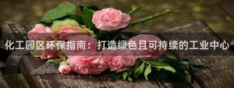 亿万视频：化工园区环保指南：打造绿色且可持续的工业中心
