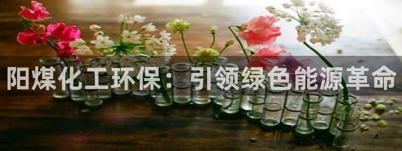 亿万先生客服联系方式：阳煤化工环保：引领绿色能源革命