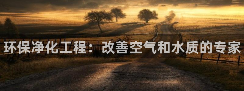 亿万先生手机版入口在哪看：环保净化工程：改善空气和水质的专家