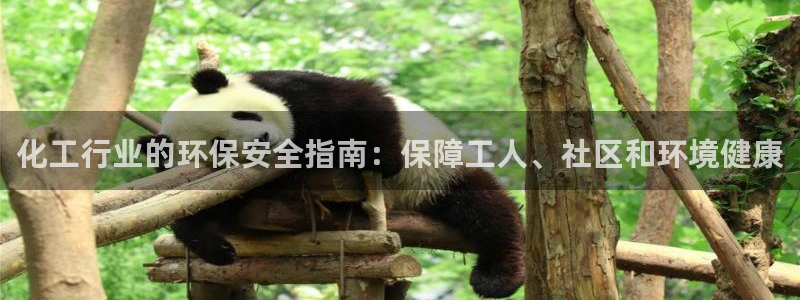 亿万解析：化工行业的环保安全指南：保障工人、社区和环境健康