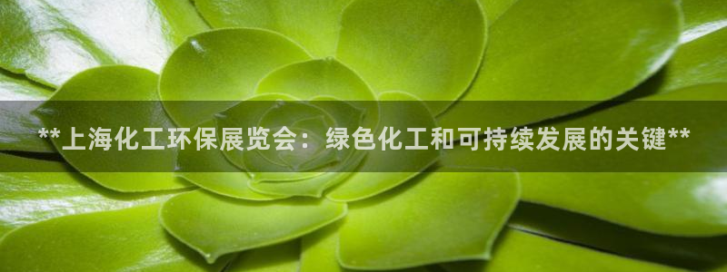 亿万先生客户端官网登录不了：**上海化工环保展览会：绿色化工和可持续发展的关键**
