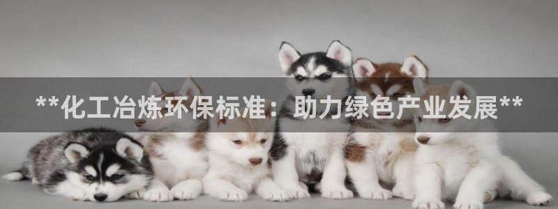 亿万先生官方登录网址：**化工冶炼环保标准：助力绿色产业发展**