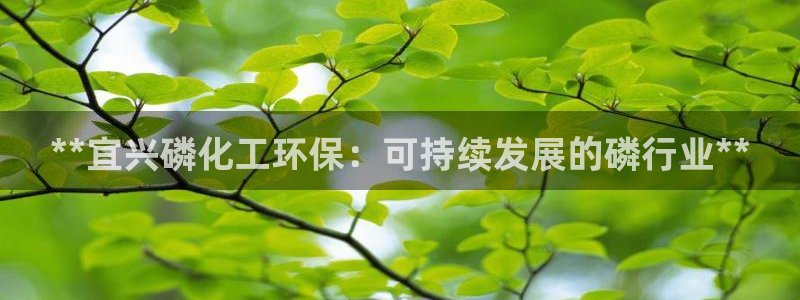 亿万下载徐家汇朋友圈说说：**宜兴磷化工环保：可持续发展的磷行业**