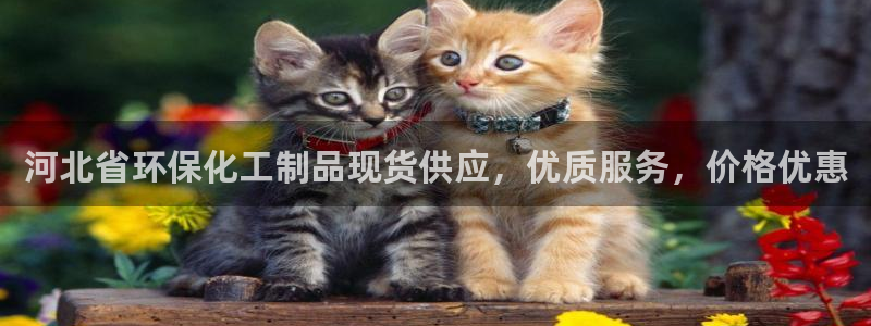 mr亿万先生：河北省环保化工制品现货供应，优质服务，价格优惠