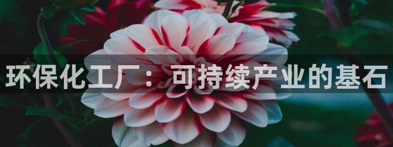 亿万网络科技有限公司：环保化工厂：可持续产业的基石