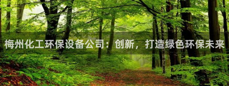 亿万先生手机版入口在哪看：梅州化工环保设备公司：创新，打造绿色环保未来