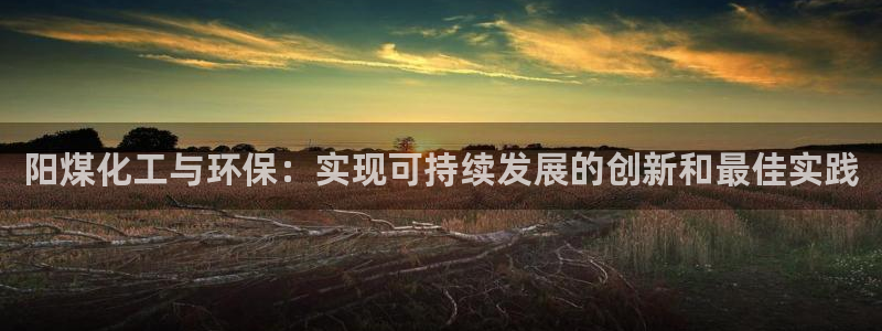 亿万贴吧：阳煤化工与环保：实现可持续发展的创新和最佳实践