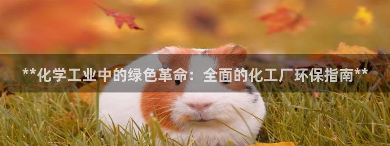亿万先生：**化学工业中的绿色革命：全面的化工厂环保指南**