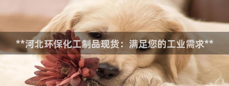 亿万先生手机版入口在哪：**河北环保化工制品现货：满足您的工业需求**