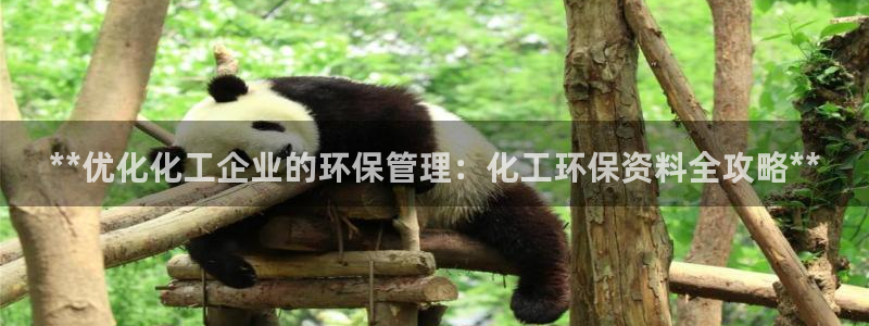 亿万先生换网址了吗知乎：**优化化工企业的环保管理：化工环保资料全攻略**