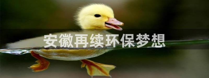 亿万解析：安徽再续环保梦想