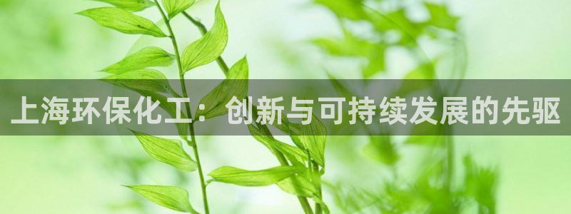 亿万讲了什么：上海环保化工：创新与可持续发展的先驱