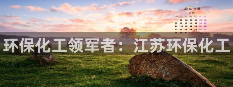 亿万先生手机版客户端下载安装：环保化工领军者：江苏环保化工