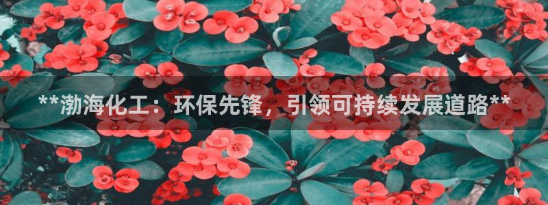 亿万手游官网：**渤海化工：环保先锋，引领可持续发展道路**